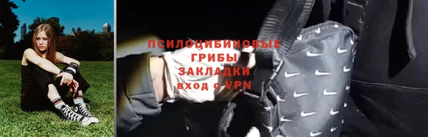 apvp Дегтярск