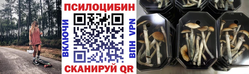 Псилоцибиновые грибы мухоморы  Лесосибирск 
